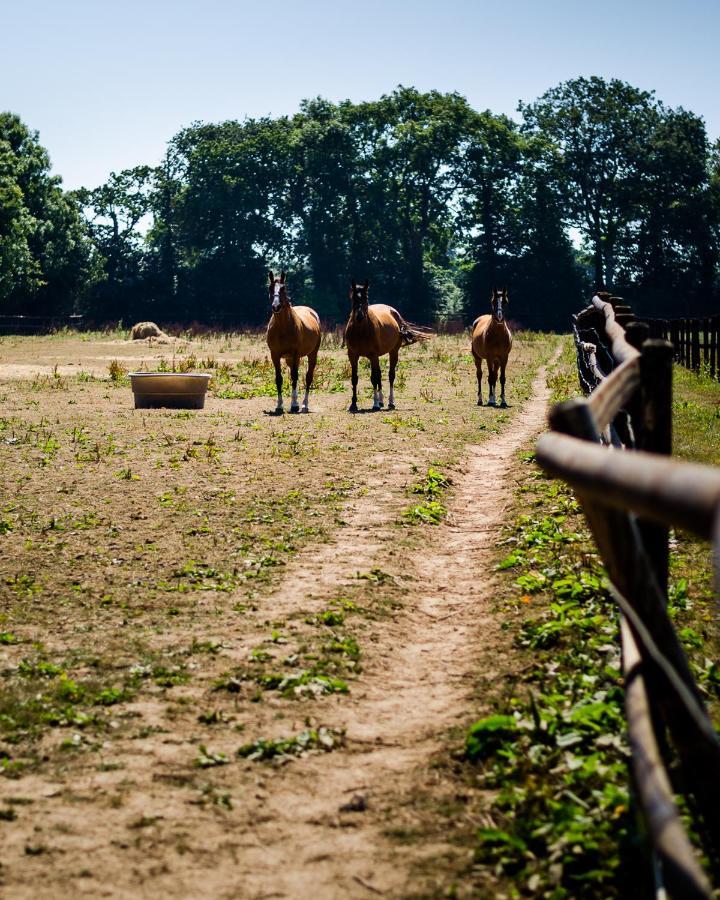 ホテル Ferme Du Loucel コルヴィル・シュル・メール エクステリア 写真